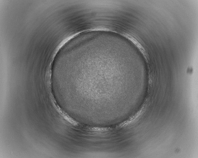 X0000094820933200711301626