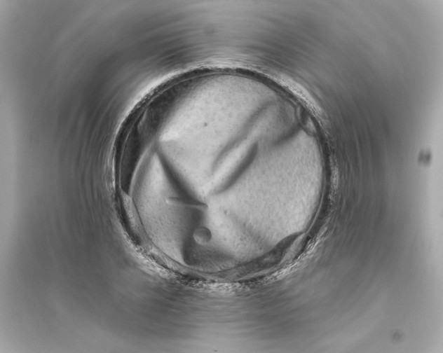 X0000094820934200711301626