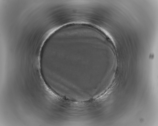 X0000094820935200711301626