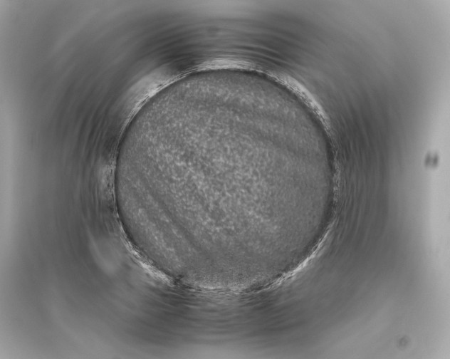 X0000094820937200711301626