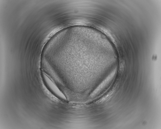 X0000094820938200711301626