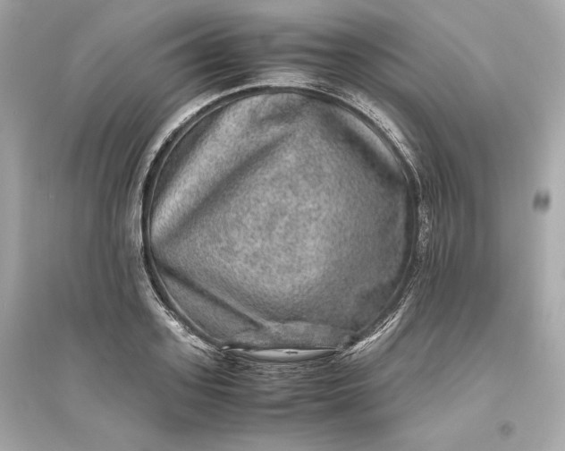 X0000094820939200711301626