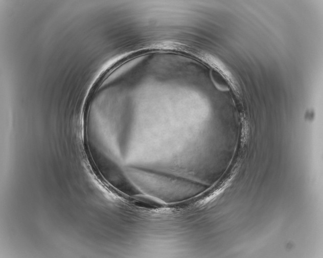 X0000094820940200711301626