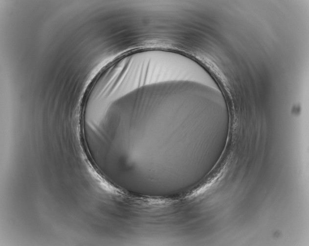 X0000094820941200711301626