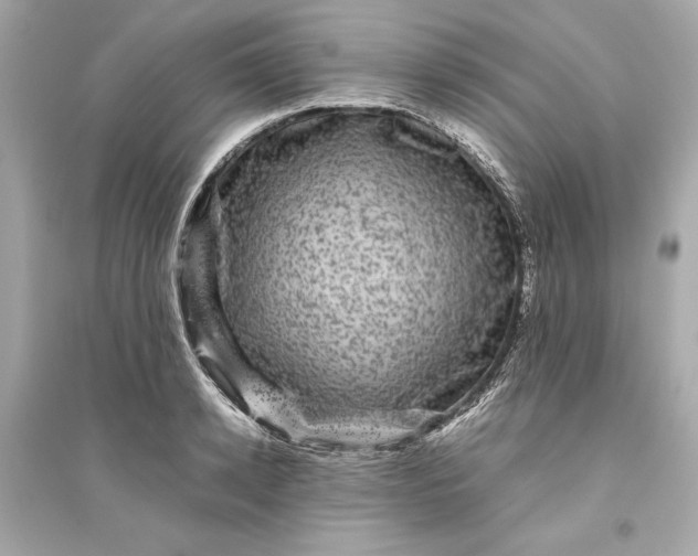 X0000094820942200711301627