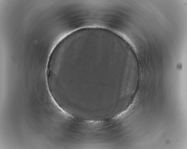 X0000094820943200711301627