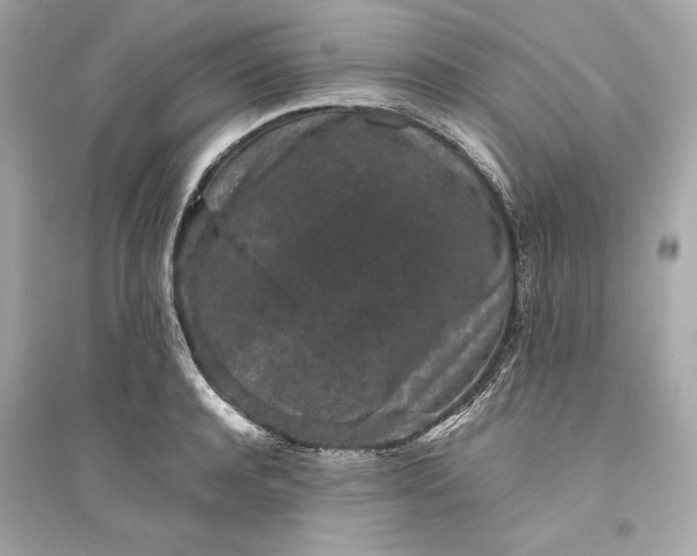 X0000094820944200711301627