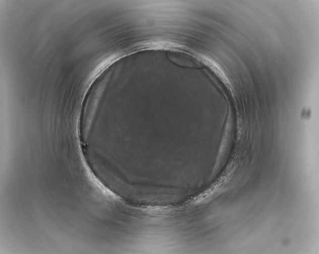 X0000094820946200711301627