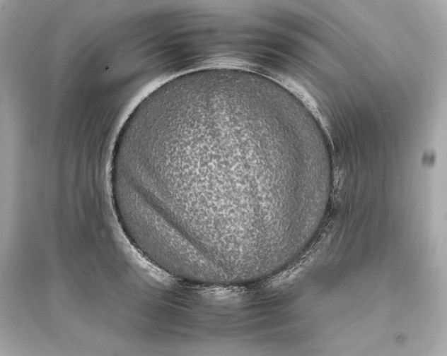 X0000094820947200711301627