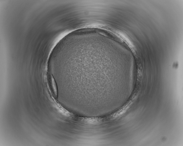 X0000094820948200711301627