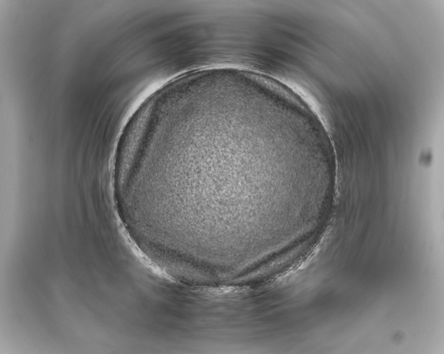 X0000094820949200711301627