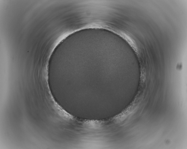 X0000094820950200711301627