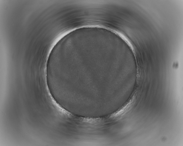 X0000094820951200711301627