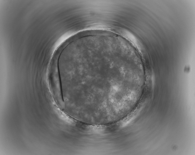 X0000094820952200711301627