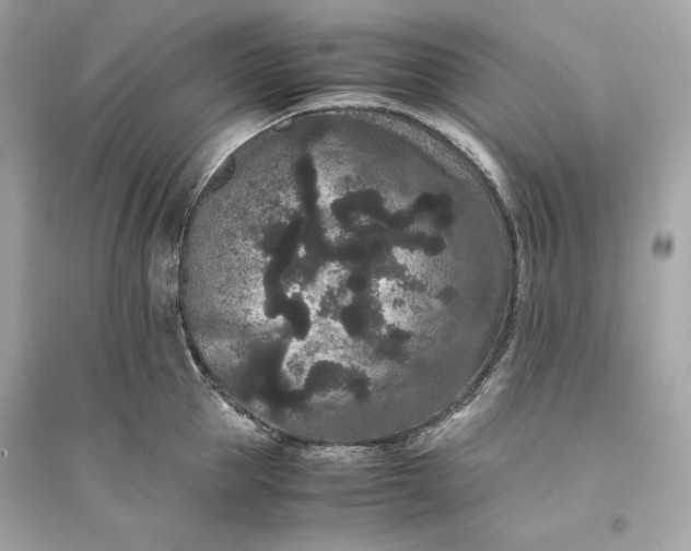 X0000094820953200711301627