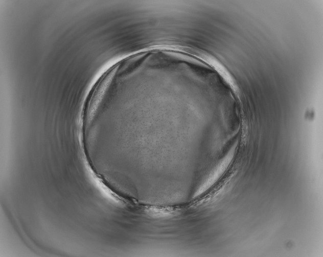 X0000094820955200711301627