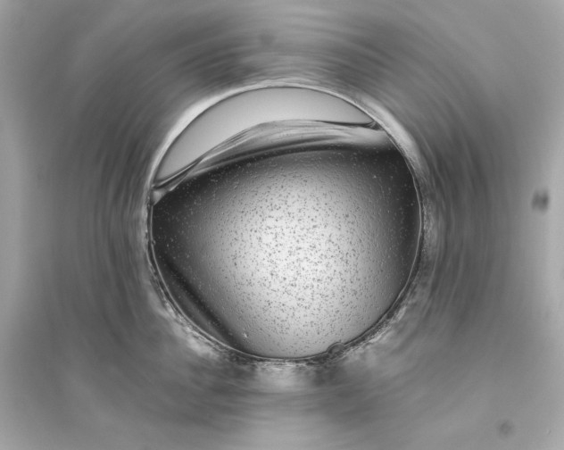 X0000094820956200711301627