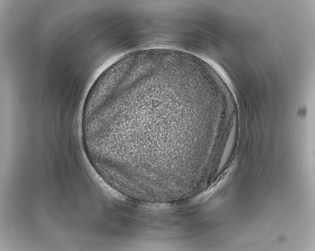 X0000094820957200711301627