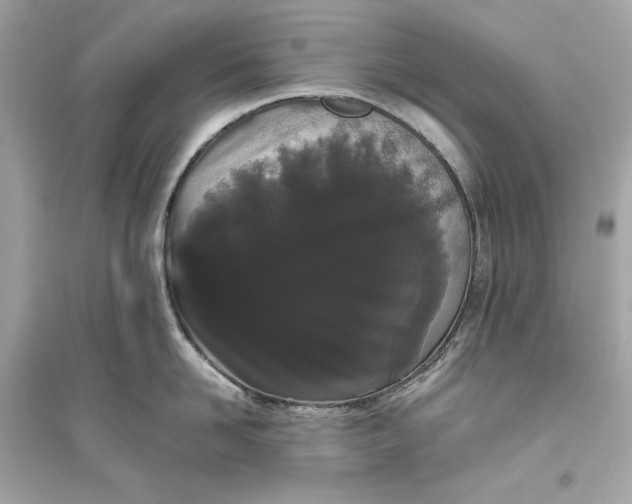 X0000094820958200711301627