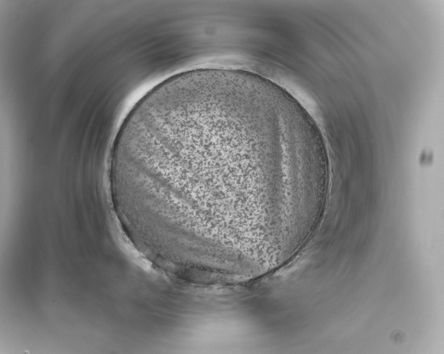 X0000094820960200711301627