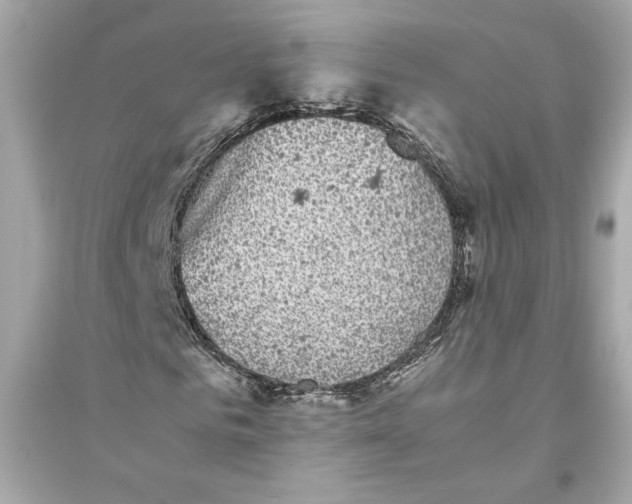 X0000094820961200711301626