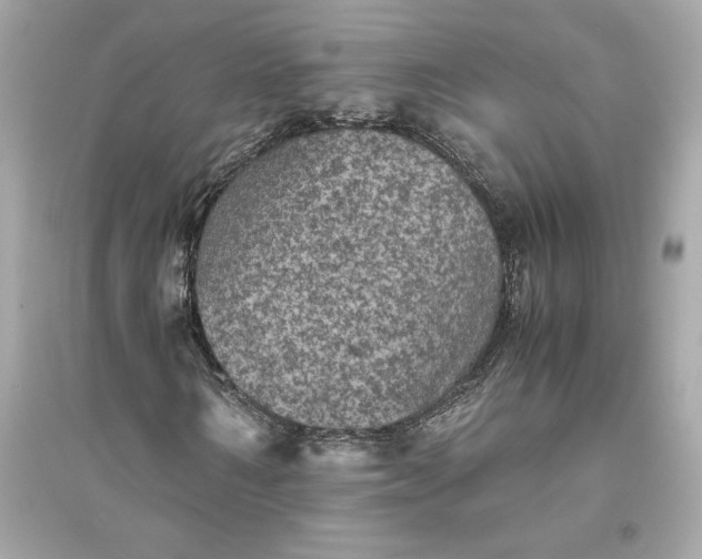 X0000094820962200711301626