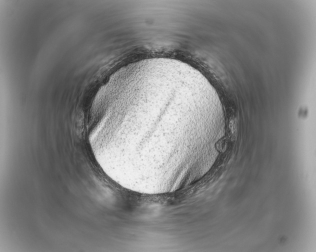 X0000094820963200711301626