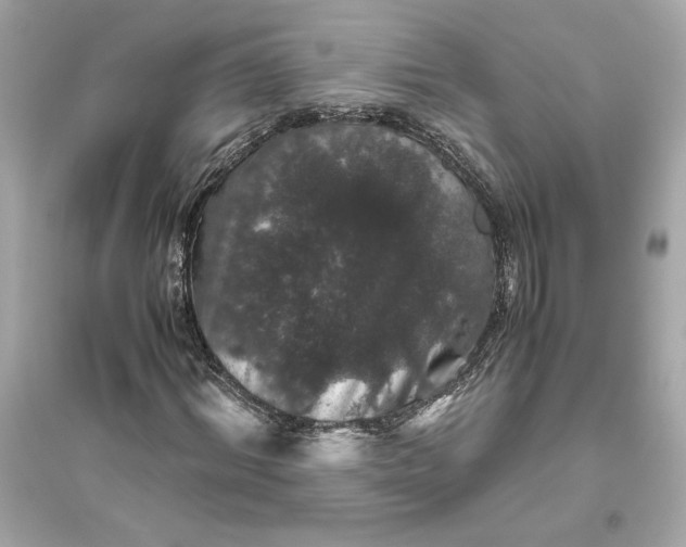 X0000094820964200711301626