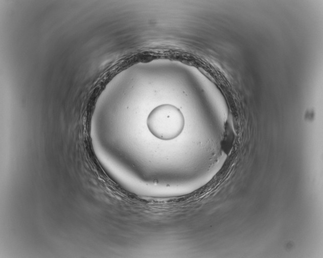 X0000094820965200711301626