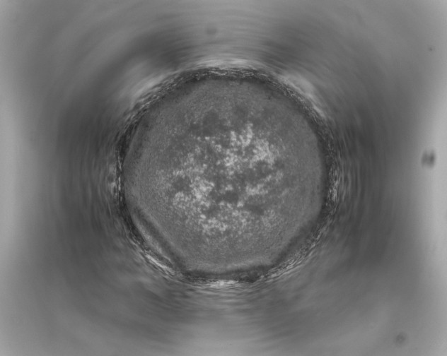 X0000094820966200711301626