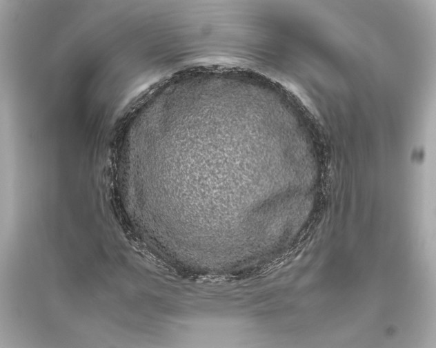 X0000094820967200711301626