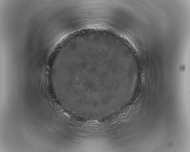 X0000094820968200711301626