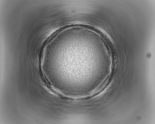 X0000094820969200711301626