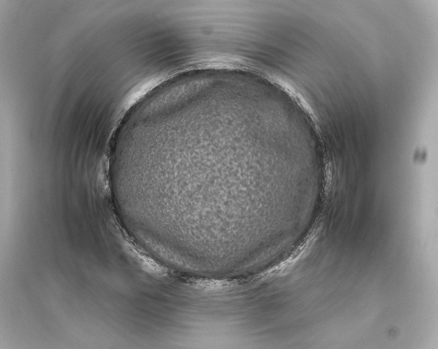 X0000094820970200711301626