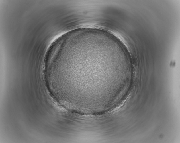 X0000094820971200711301626