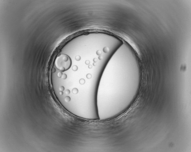 X0000094820972200711301626