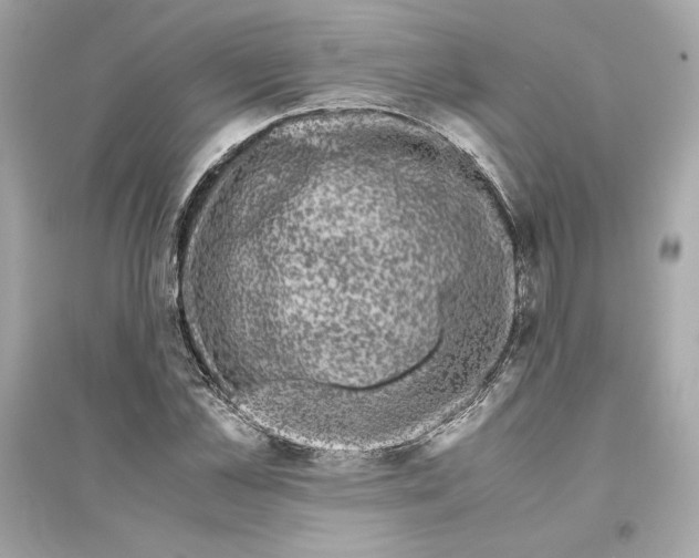 X0000094820973200711301626