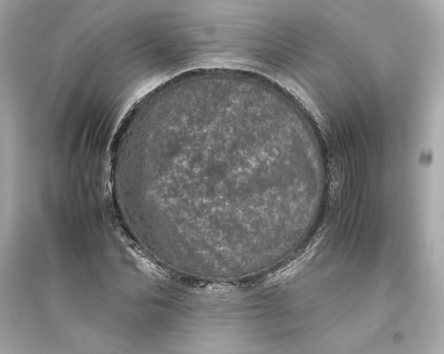 X0000094820974200711301626