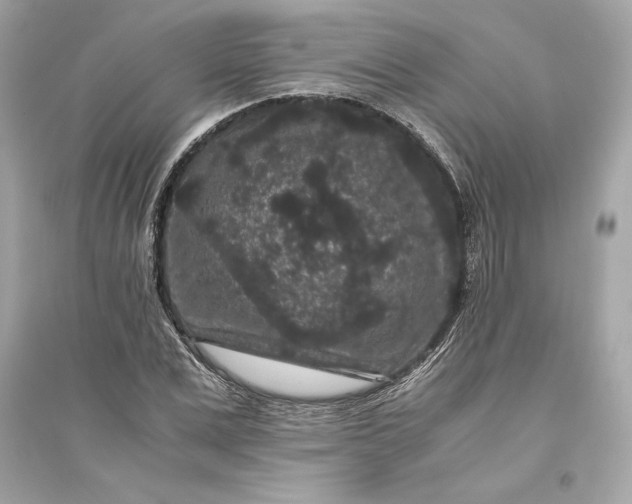 X0000094820975200711301626