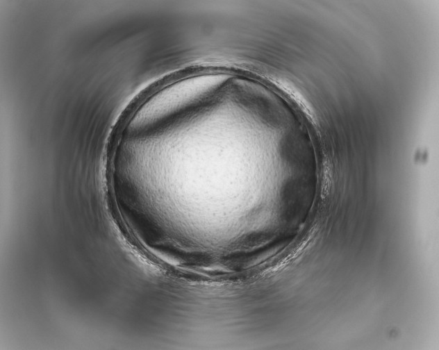 X0000094820976200711301626