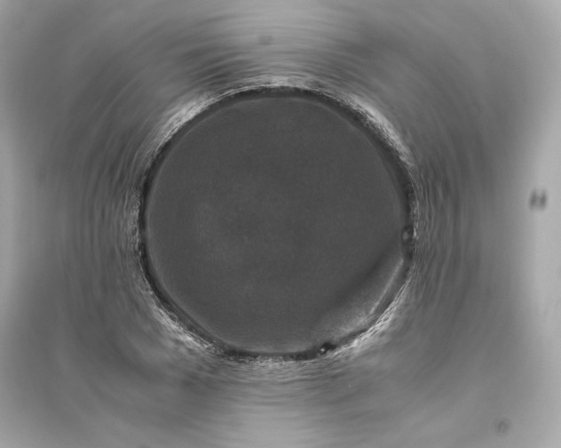 X0000094820977200711301626