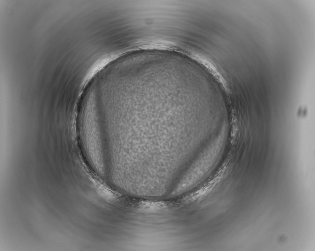 X0000094820978200711301626