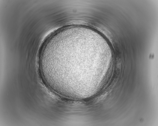 X0000094820979200711301626