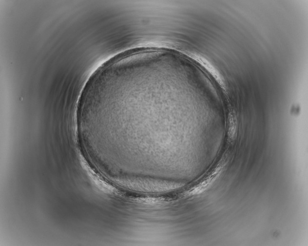 X0000094820980200711301626