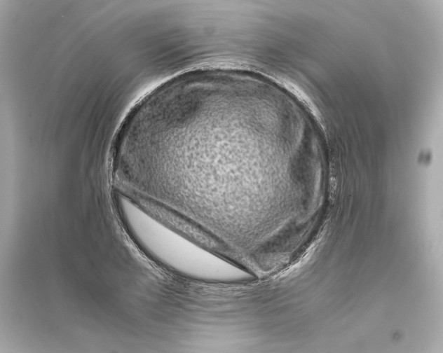 X0000094820981200711301626