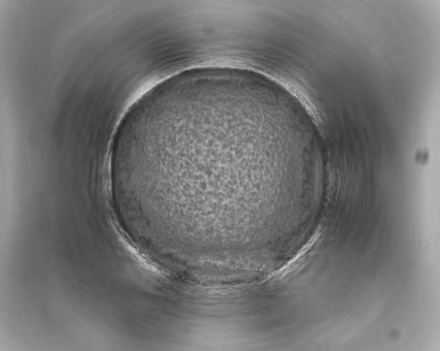 X0000094820982200711301626