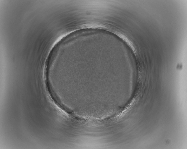 X0000094820983200711301626