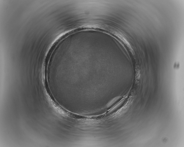 X0000094820984200711301626