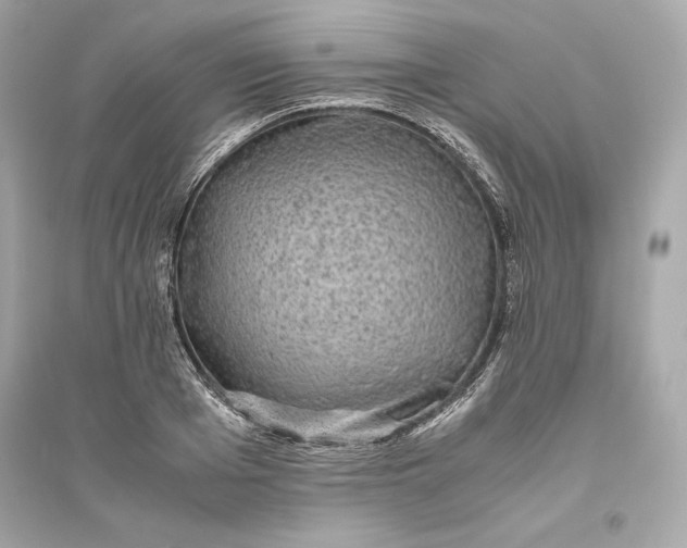 X0000094820985200711301626