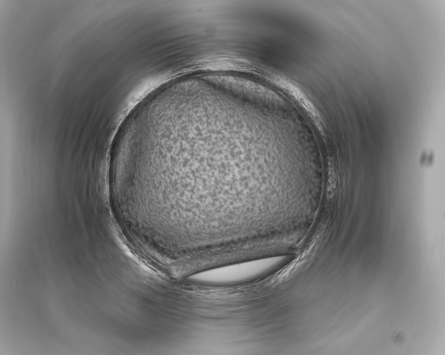 X0000094820986200711301626